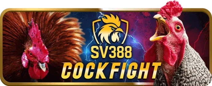 Đường dây nóng open88